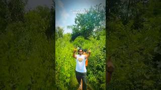 Seethapalli waterfalls in Maredumilli @RKsunkara4  #maredumilli #waterfalls #andhrapradesh