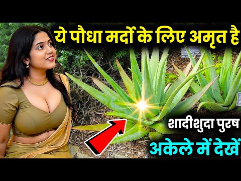 पुरुषों के लिए अमृत है यह पौधा। मर्द जरूर देखें | Plant Benefit vastu tips | vastu sashtra