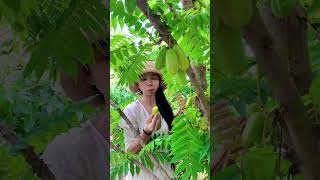Enjoy beautiful nature with rural life # 586 #fruit #cooking #garden