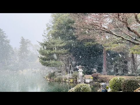 太美了！雪花紛飛～金沢 兼六園散策浪漫絕景/Beautiful View Snow Falling！Kenroku-machi,Kanazawa-shi, Japan Travel