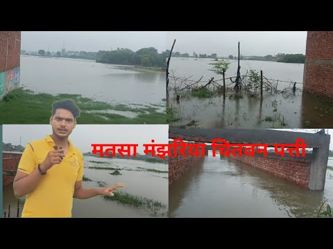 मतसा मंझरिया चितवन पत्ती ज़मानिया ग़ाज़ीपुर Ganga flooded again/LatestUpdate Ganga Flood 2025 