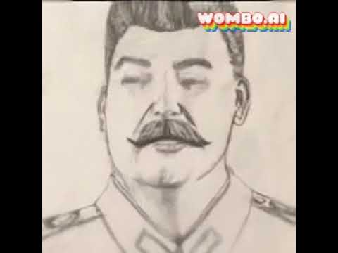 스탈린 다메다메 / Stalin Damedame