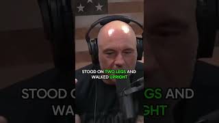 Bigfoot and Gigantopithecus: Myth or Reality? - Joe Rogan