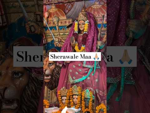 Tune Mujhe Bulaya Sherawaleye #maavaishnodevi #maa #navratri #navratri #youtubeshorts