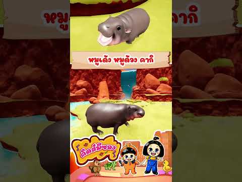 เพลง หมูเด้ง หมูด้วง คากิ ฮิปโปแคระ เพลงเด็กคิดส์มีซอง 2568 | KidsMeSong