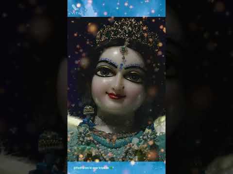 Radharani hai mere saath fikar hume kahe ki #Radharani #Vrindavan #krishna #iskcon #barsana