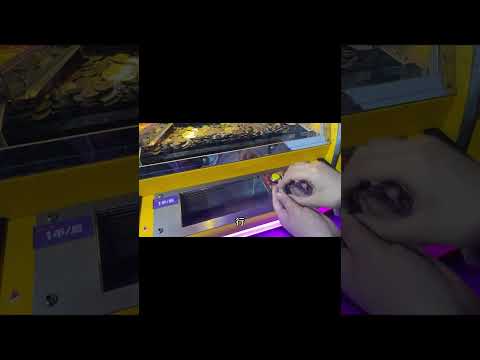 很遗憾，今天 的马戏团毫无收获！