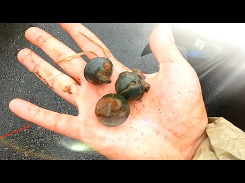 Crotal Bell Spill #3for1 #metaldetecting #silver