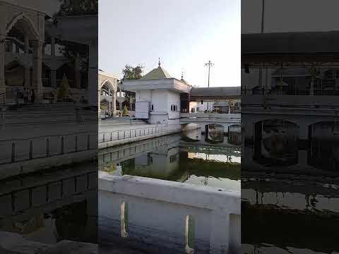 maa ke dil jesa duniya mein koi dil nahi #ansfamily4u #maa #Mandir