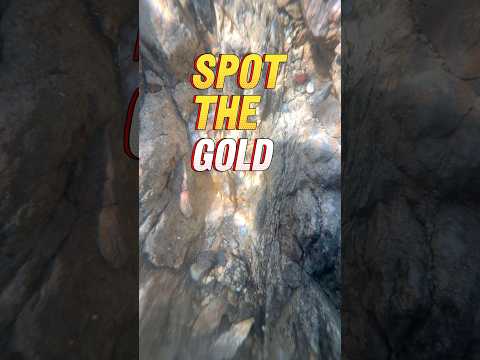 It’s not often you see this 😳 #goldpanning #goldprospecting #goldrush