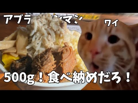 【二郎系】蓮爾（はすみ）直系の店で４玉（約500ｇ）を大食いして今年最後の食べ納めをしてきた話【劇的ラーメン雑把】#猫ミーム #猫マニ