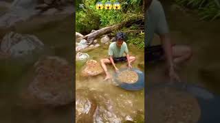 #mining #gold #goldbusiness #goldindustry #satisfying #mininggyan #goldmined #love #goldmining 😱😱😱😱😱