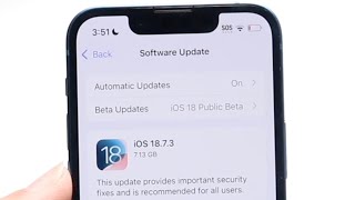 iOS 18.7.3 More Issues