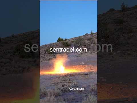 Here's a quick update on Sentradel, the new company I’m starting #robotics #drone