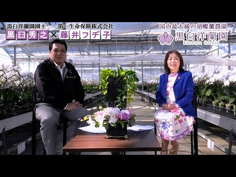 胡蝶蘭の花言「幸せが舞い降りる」は本当か検証してみた。【黒臼洋蘭園・葉素敵なお客様対談】