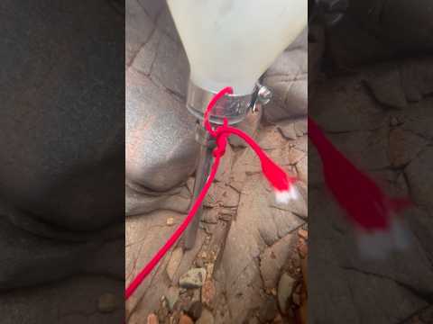 The last day on this river 😭 #gold #goldpanning #goldrush #nature #goldmining