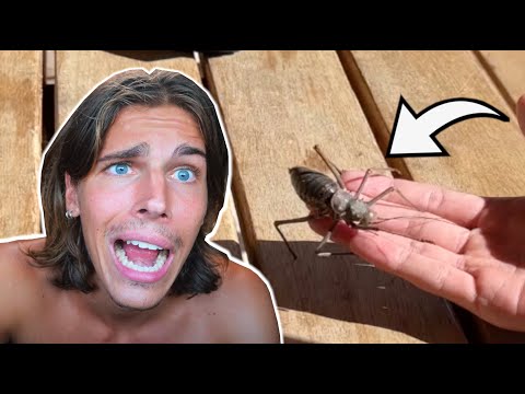 I PICKED UP AN ALIEN!!