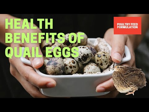 AMAZING HEALTH BENEFITS OF QUAIL EGGS