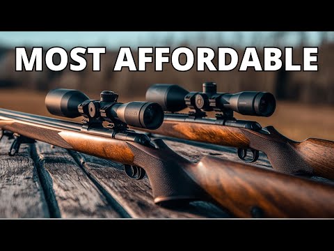 TOP 10 BEST AFFORDABLE RIFLES IN 2025!