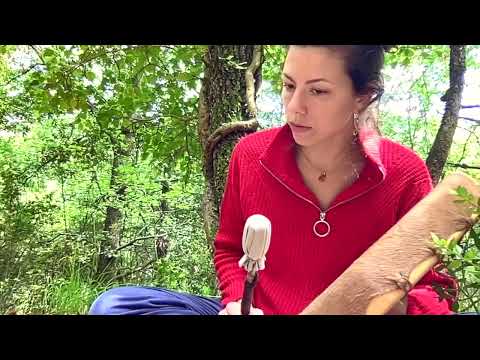 MarieCharlotte I Méditation I Connexion à notre nature primaire