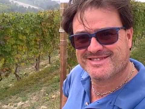 DBGitalia in Mauro Rapalino's Novello vyd, whose fruit goes to F.lli Serio&Battista Borgogno, Oct'19