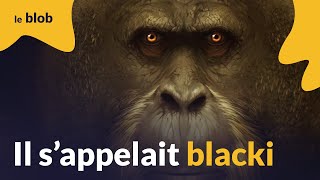 Gigantopithecus : pourquoi le plus grand singe du monde s'est-il éteint il y a plus de 200 000 ans ?