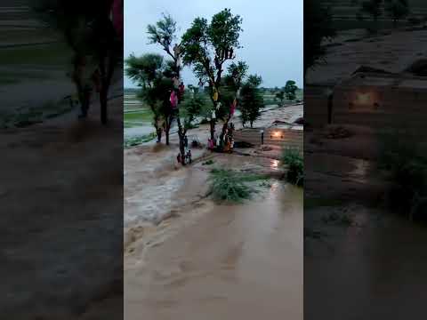 Poor People Trapped in the Flood (part 2)🌊🌊😭😭#yt #ytshorts #viralvideo #plzsubscribe #plzviralme