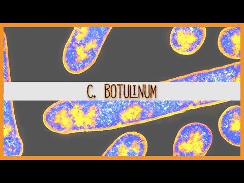 Clostridium Botulinum