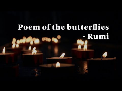 Poem of the butterflies - Rumi