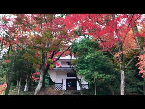 定光寺 紅葉 2016.11.21