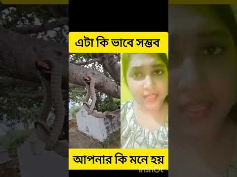 এটা কিভাবে সম্ভব আপনারা বলেন #banglasong #funny #baulbicchedgaan #baulgaan #comedy #baulsonge