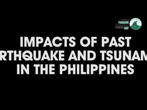 Impacts of earthquake and tsunami