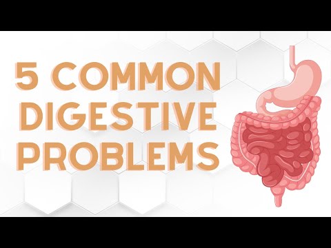 5 common digestive problems