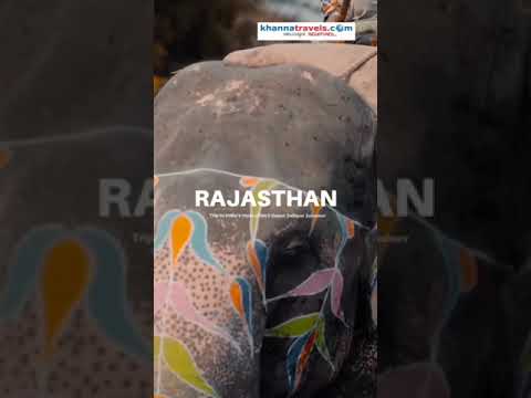 Explore India's Royal City | Rajasthan #shorts