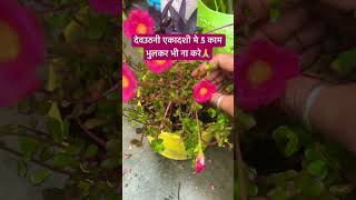 ये 5 काम देवउठनी एकादशी मे करने से आपका व्रत निष्फल हो जायेगा जरुर सुने🙏#upay#ekadashivrat#kartik🌹