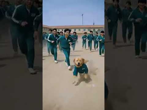POV: You're in a Squid Game but the Dog is Winning