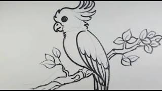drawing bird @Art of drawers