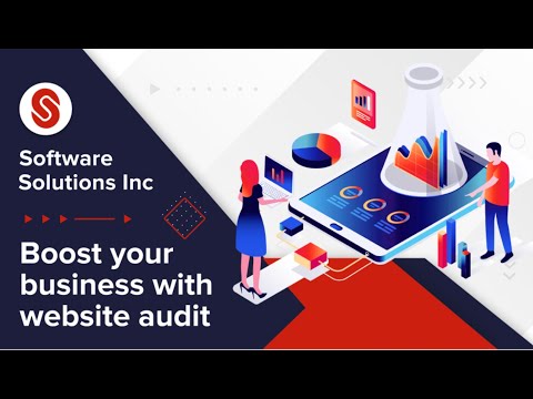 Website audit