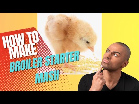 How to Make Broiler Starter Feed Formulation(HD Quality)