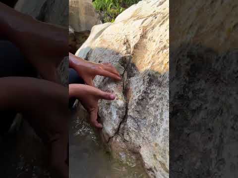 Crazy Moment Real Gold Was Discovered! 🔥💰 #gold #goldmining #viralvideo