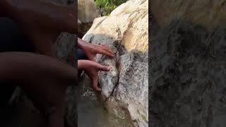 Crazy Moment Real Gold Was Discovered! 🔥💰 #gold #goldmining #viralvideo