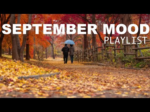 Positive September | Comfortable music that make you feel positive |An Indie/Pop/Folk