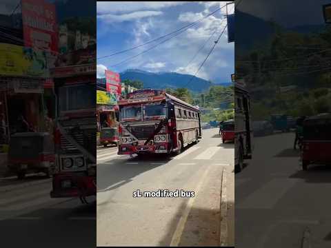 *Rich ඇපල් 🍎 Vs පුංචි සං 🧡 ඩබලම ගඩොලාදෙණියෙදි 🥰* #bus #trending #viral
