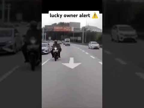 lucky owner alert #fypシ゚viral #reels #2025 #viralvideo #viralshort #reels #reelsvideo #reaction #fyp