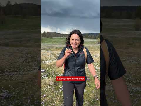 Was darf auf deiner Wanderung nicht fehlen?