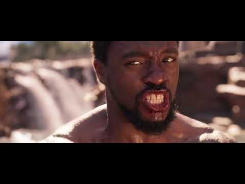 Black Panther Waterfall Fight Scene