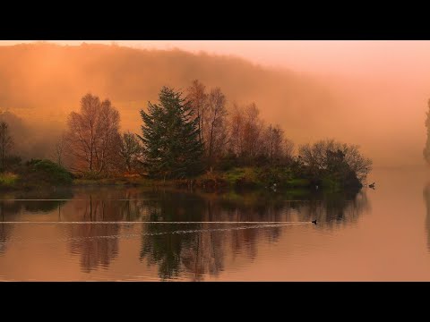 Relaxing Music, Meditation Music, Sleeping Music, Yoga Music, Spa Music, Study Music, Insomnia ☯003