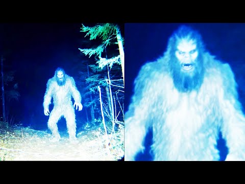 Hunter Finds Lost Hiker's Remains and Disturbing Bigfoot Evidence After 10 Years! - COMPILATION