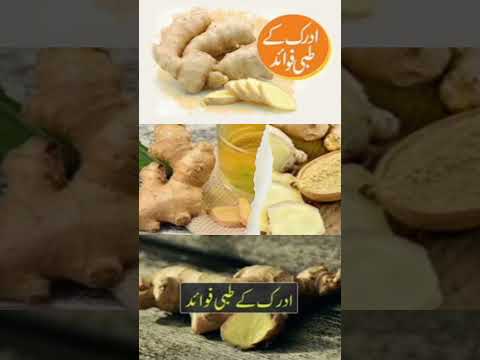 ادراک کے طبی فوائد || Health tips home