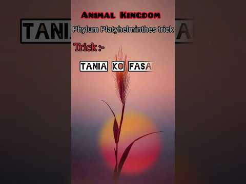 Animal Kingdom class 11 biology tricks #neet #aiims #animalkingdomtricks #dreammbbs #doctor